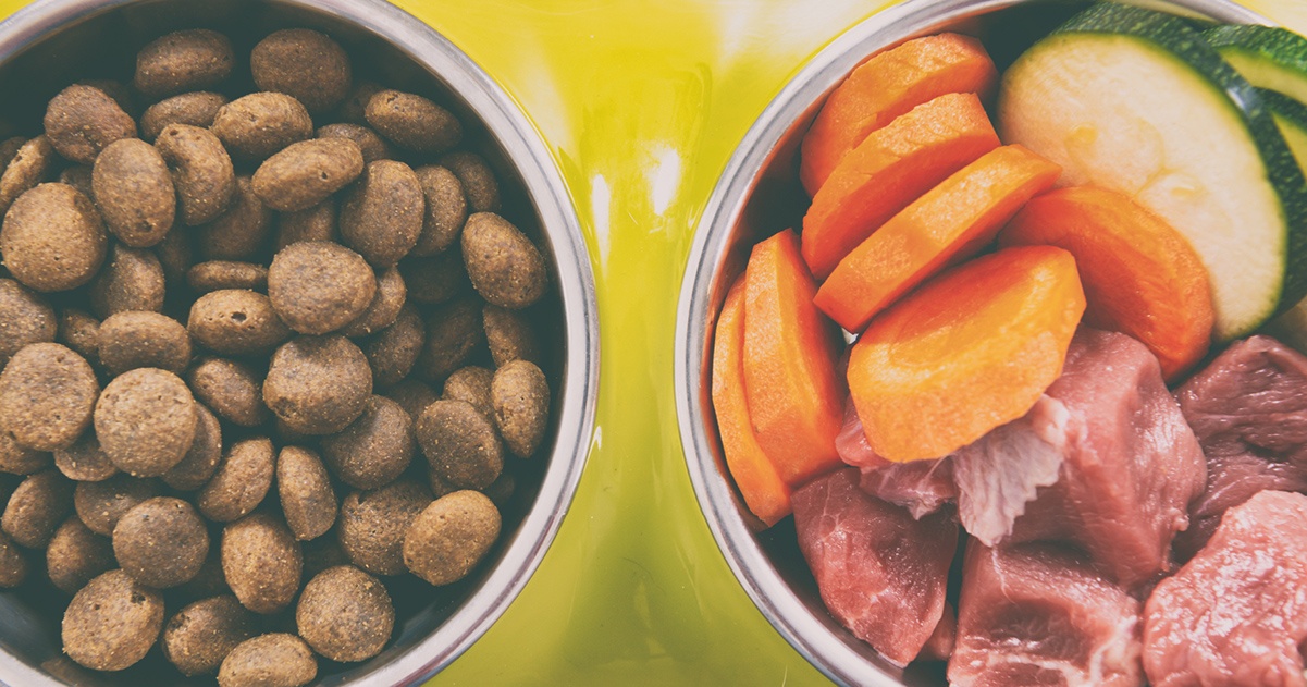 Hidden Sugars in Commercial Pet Foods Guides Big Dog Pet Foods